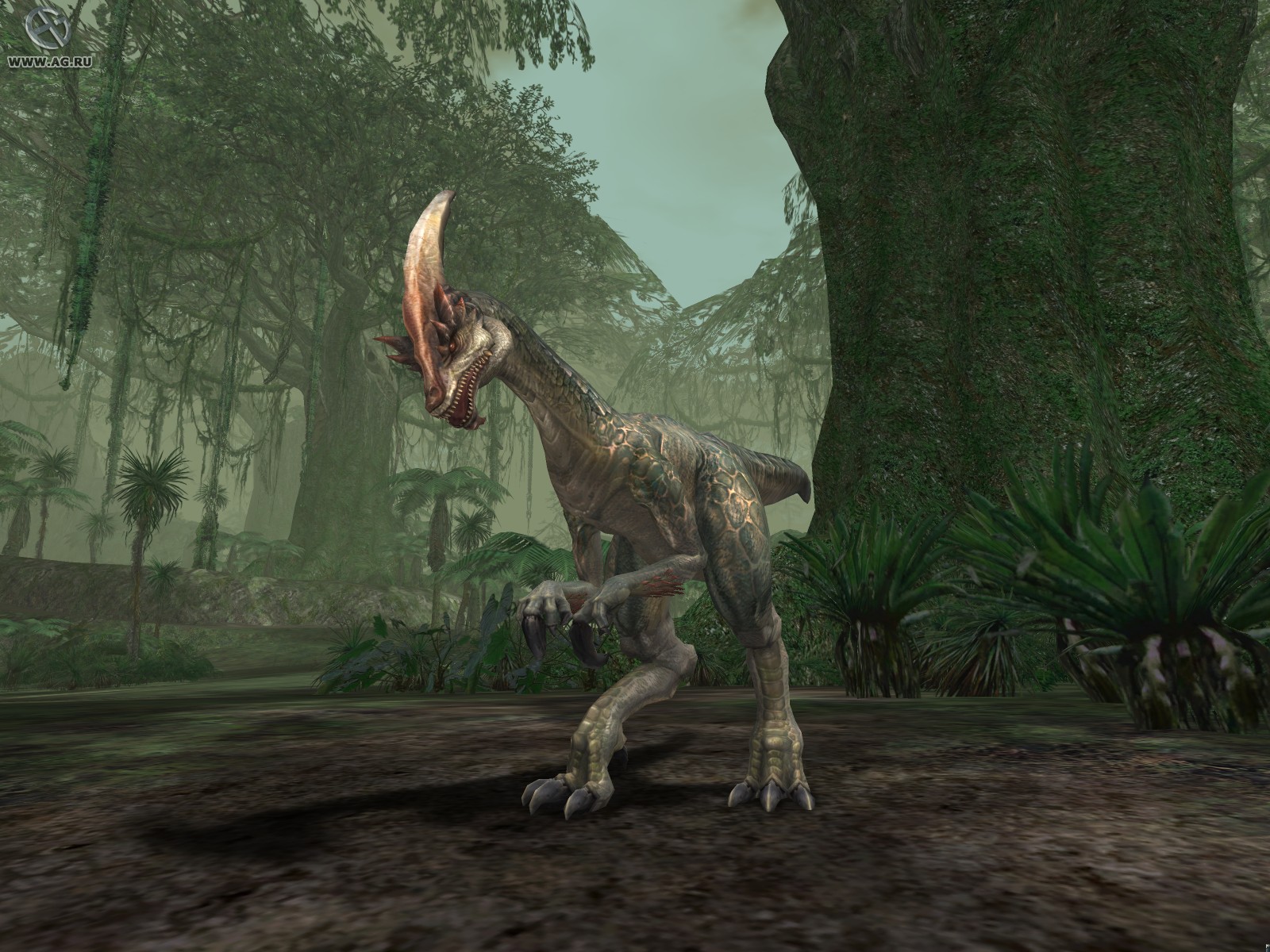 Lineage 2 screenshot 1